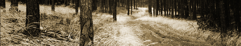 Buzzards Roost